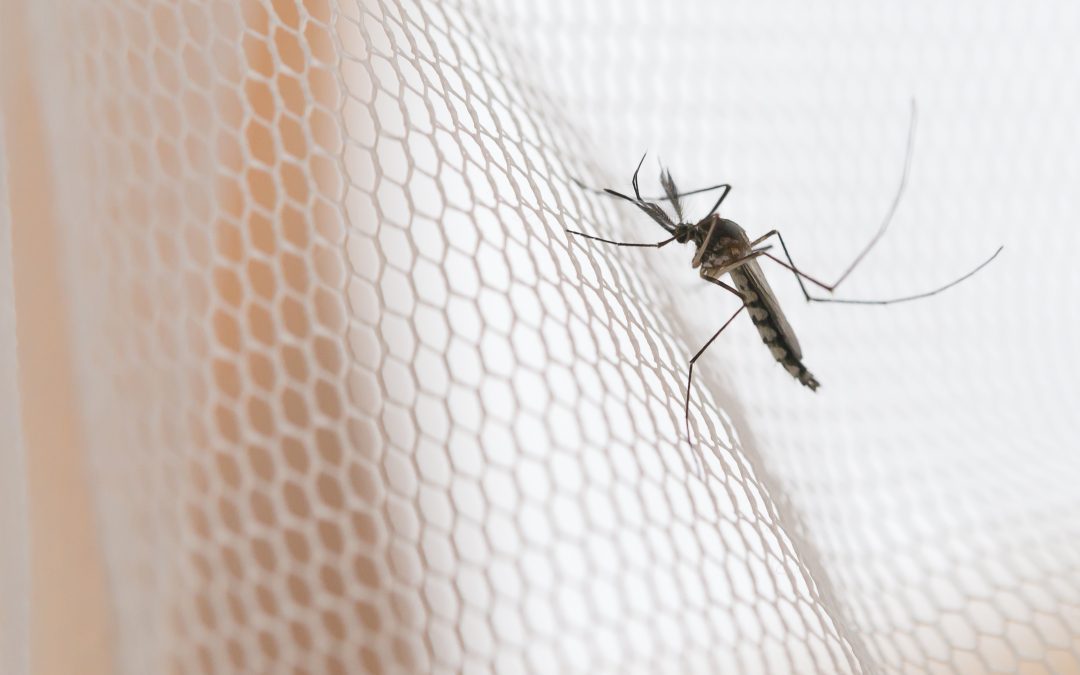 Gender-sensitive research and innovation essential to end Malaria. 