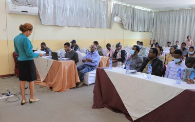 DSW Ethiopia Advocates for SRHR & Gender Policies