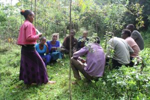 Das Bonga-Projekt der DSW schult Jugendliche in Äthiopien
